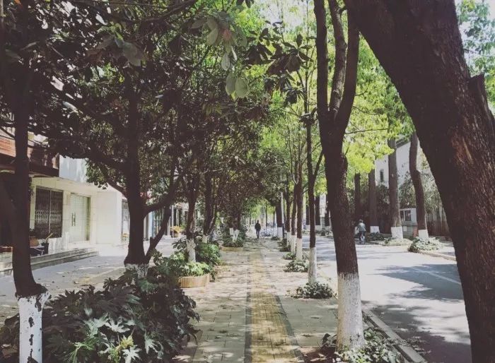 不得不了解的冷知识,旅行保命冷知识