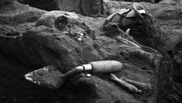 卢旺达种族大屠杀真实故事,卢旺达大屠杀事件起因