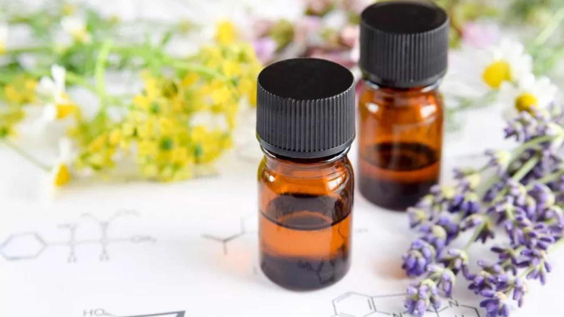 芳香精油课程,15秒带你了解茶树精油