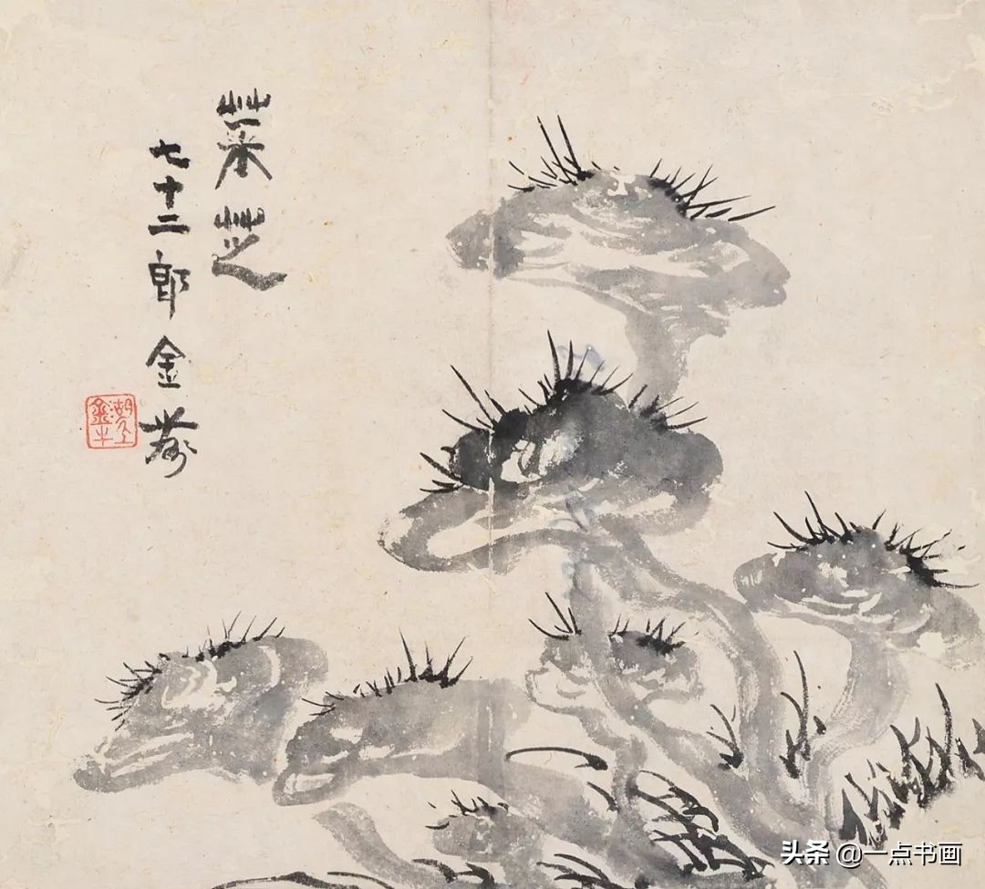 灵芝的寓意和象征花语,灵芝的寓意和功效