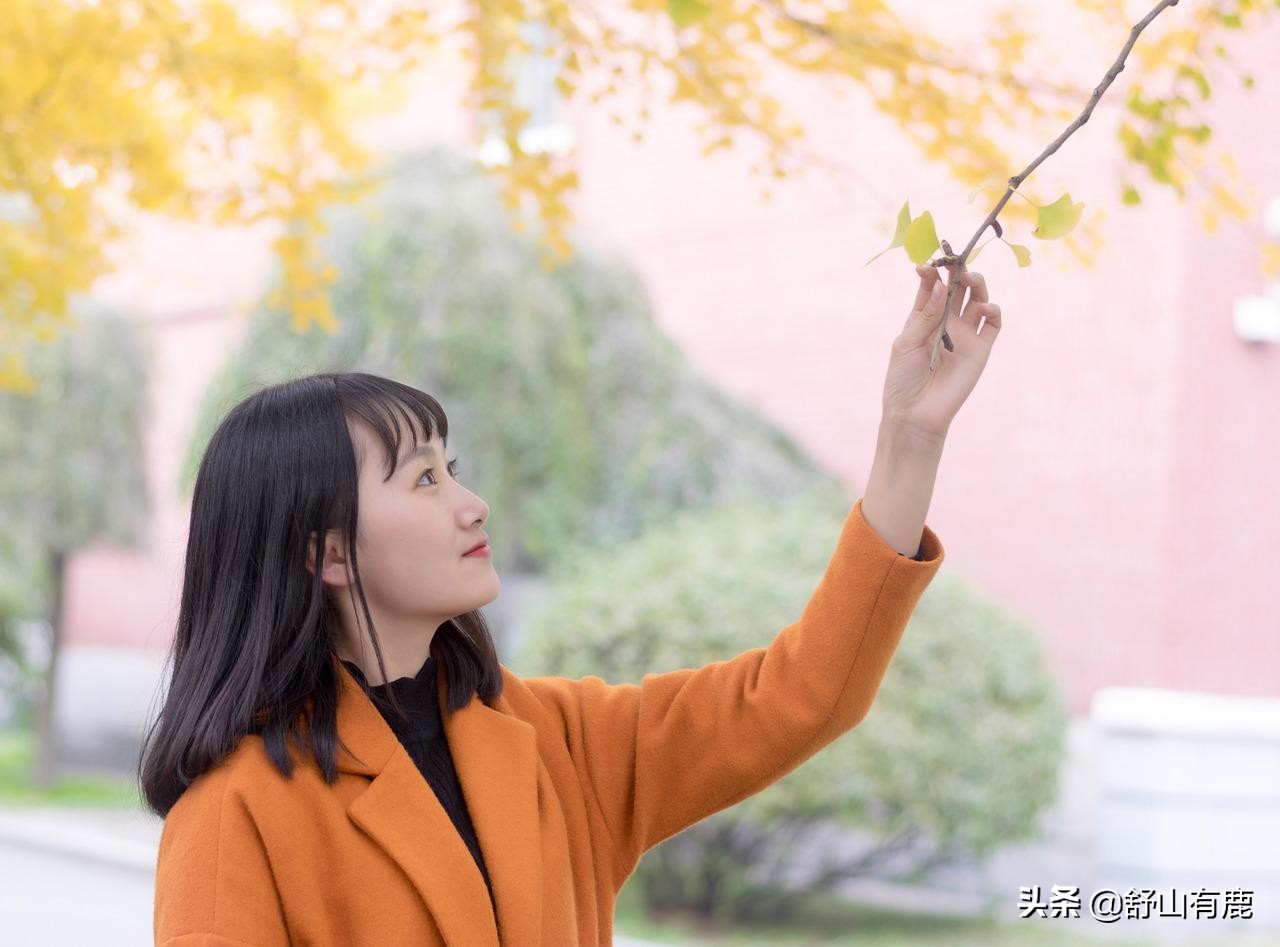 少管闲事多发财经典语录,有麻烦解决麻烦语录