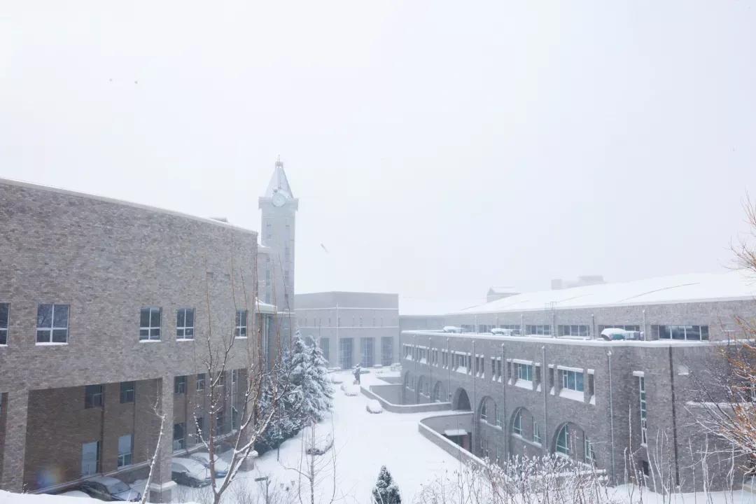 辽宁省民办大学（二）大连东软信息学院