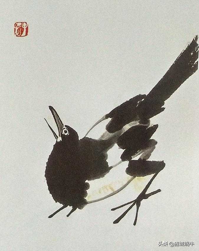 一学就会的禽鸟画法书,禽鸟的画法大全图解