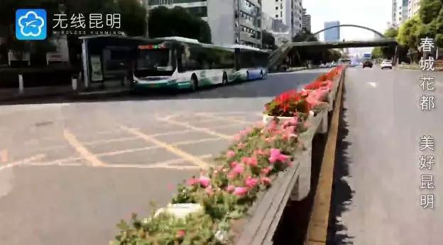 昆明哪有好玩的地方,昆明市内有什么好玩的地方