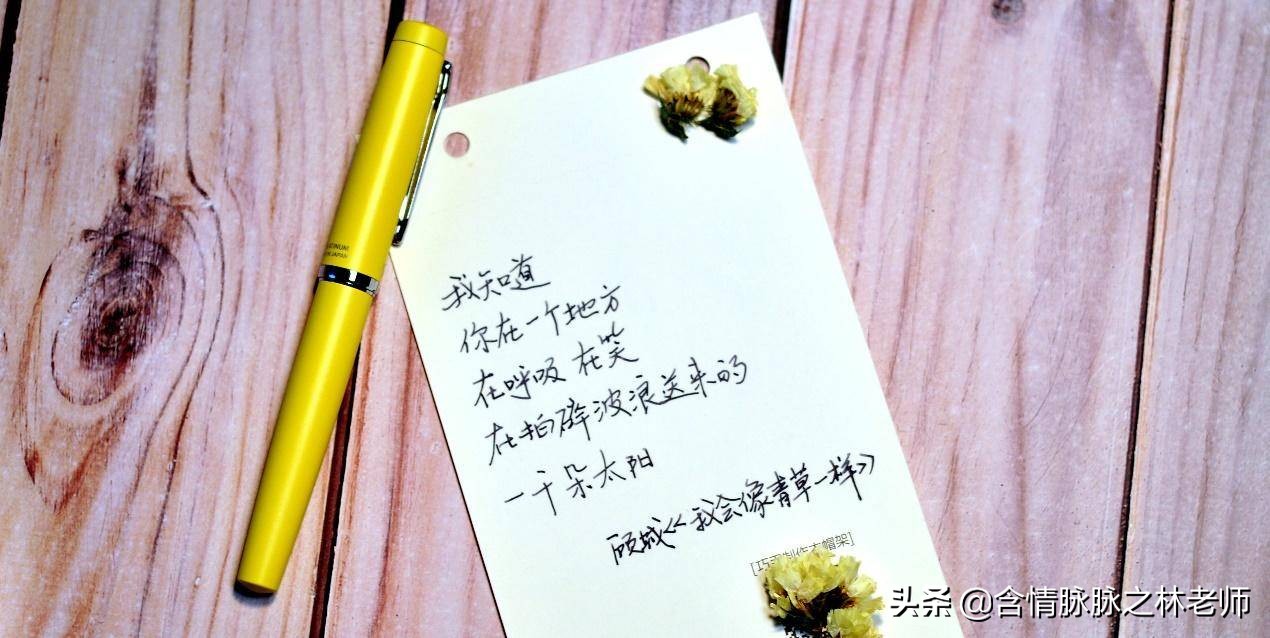 小学生初学毛笔怎么选,开学季的毛笔字