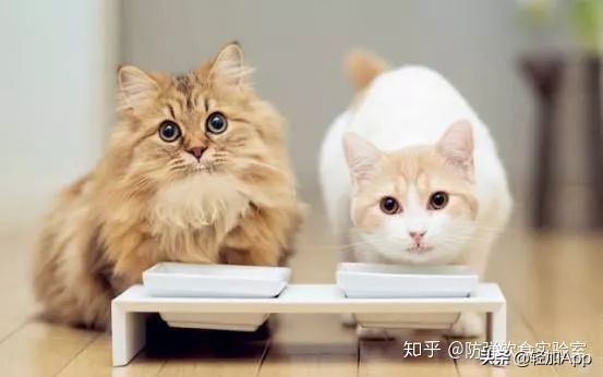 控制食欲的药有哪些,怎样控制食欲最好的方法