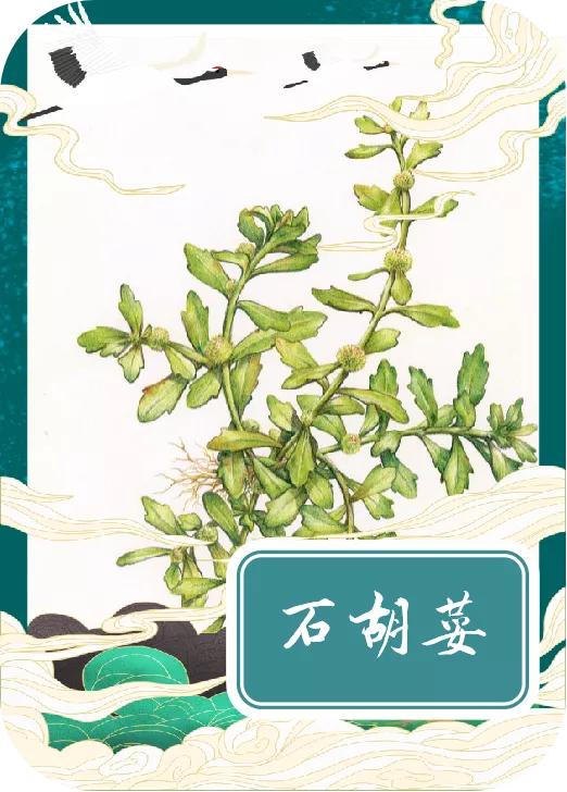 「手绘湖州」小满节气，一起揭开湖州古称“菰城”背后的玄机
