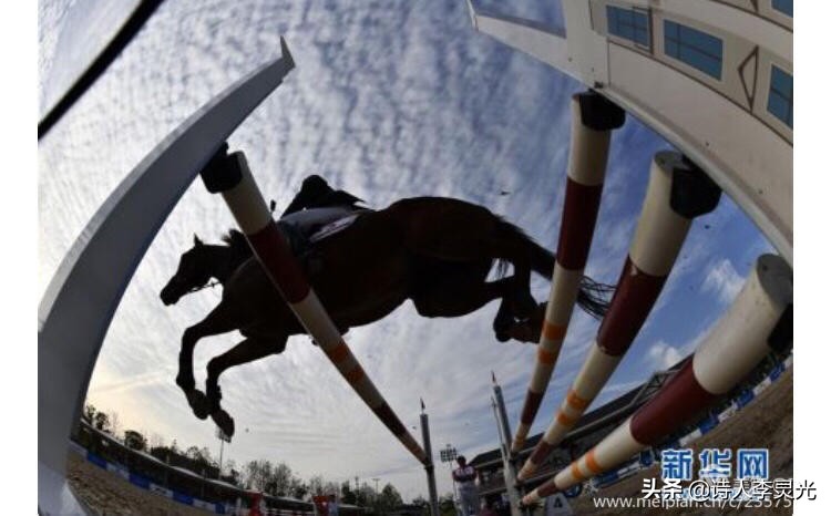 「琳达」「野草诗社」诗贺‖武汉举办世界军运会