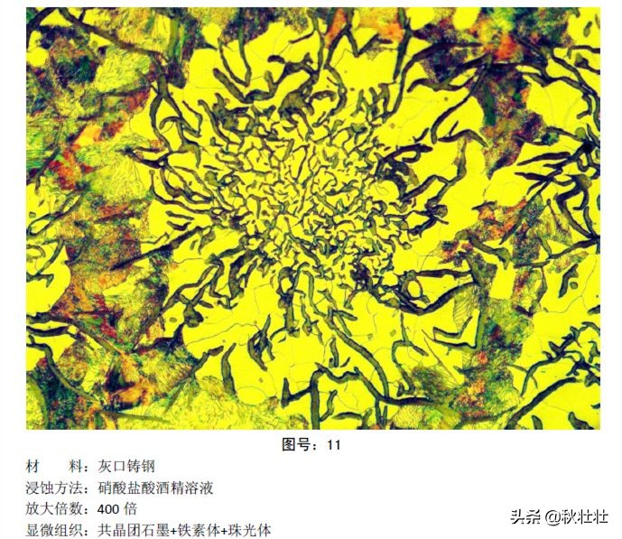 马氏体和奥氏体金相图片,马氏体和珠光体金相区别