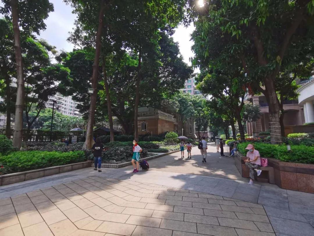 广州2022年新盘,2022年广州新盘