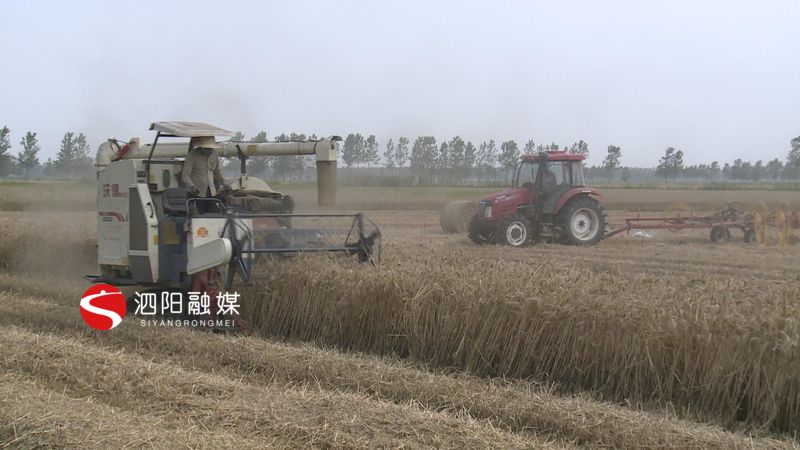 泗阳县农业产业,农业农村局秸秆综合利用实施方案