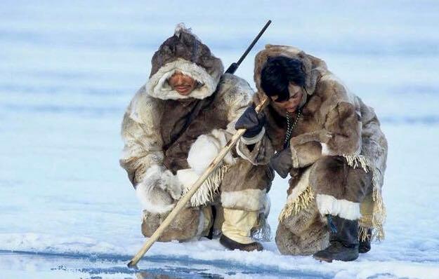 爱斯基摩人有哪些奇异之处,爱斯基摩人的奇异之处