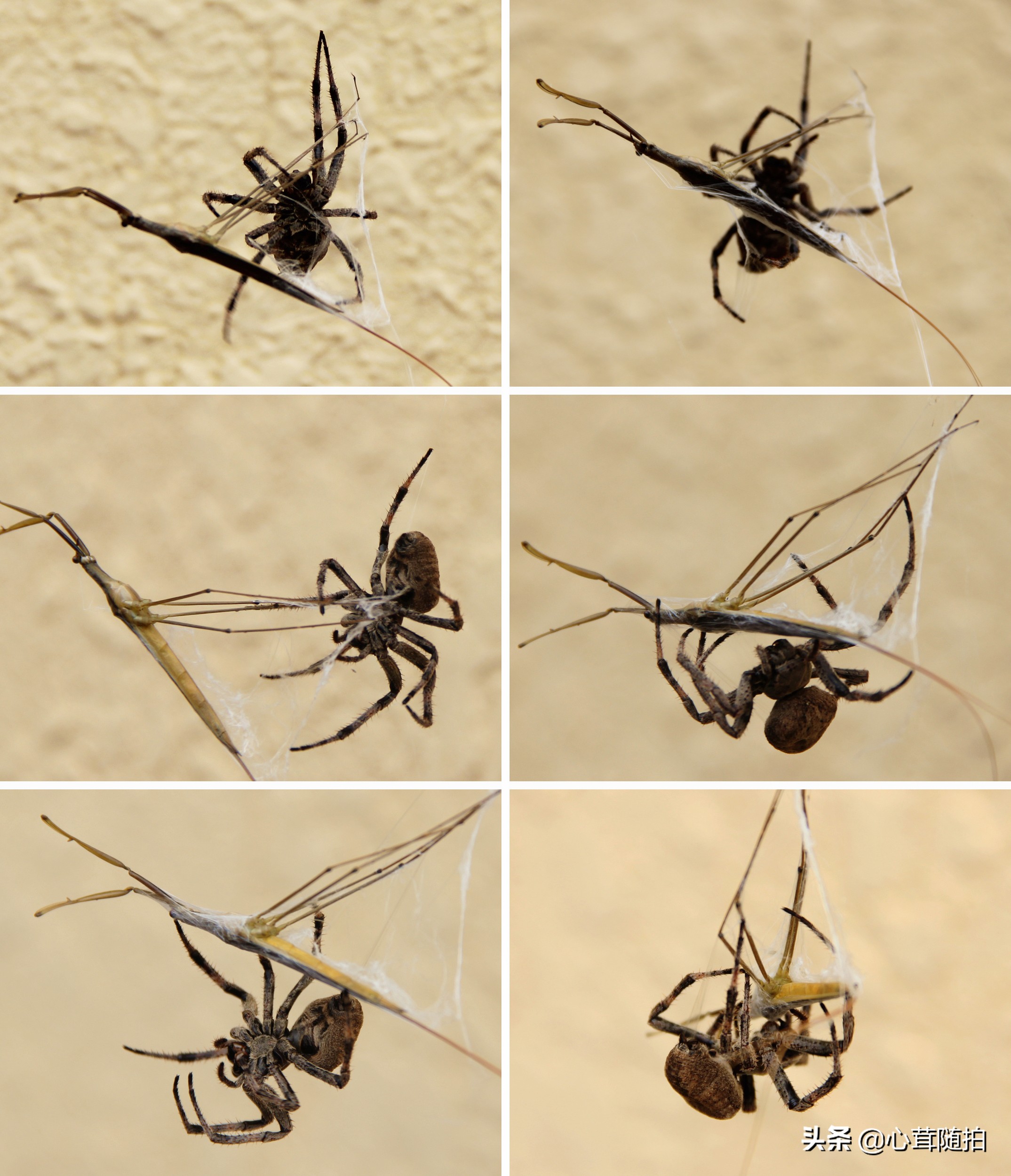 自驾白河湾,白河湾自然风景区自驾