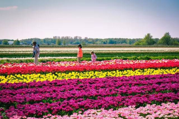 瑞士人都很有钱为何不会通货膨胀,瑞士人富得流油