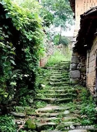 江西赣州一瓶老酒,江西100多一瓶的酒