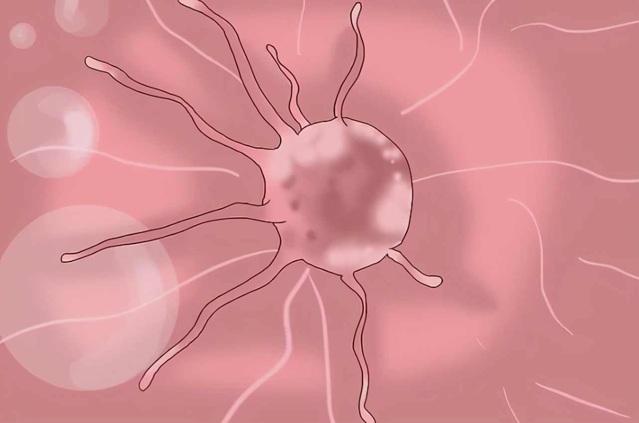 哪些疾病是通过性传播的,哪些病会通过性传播