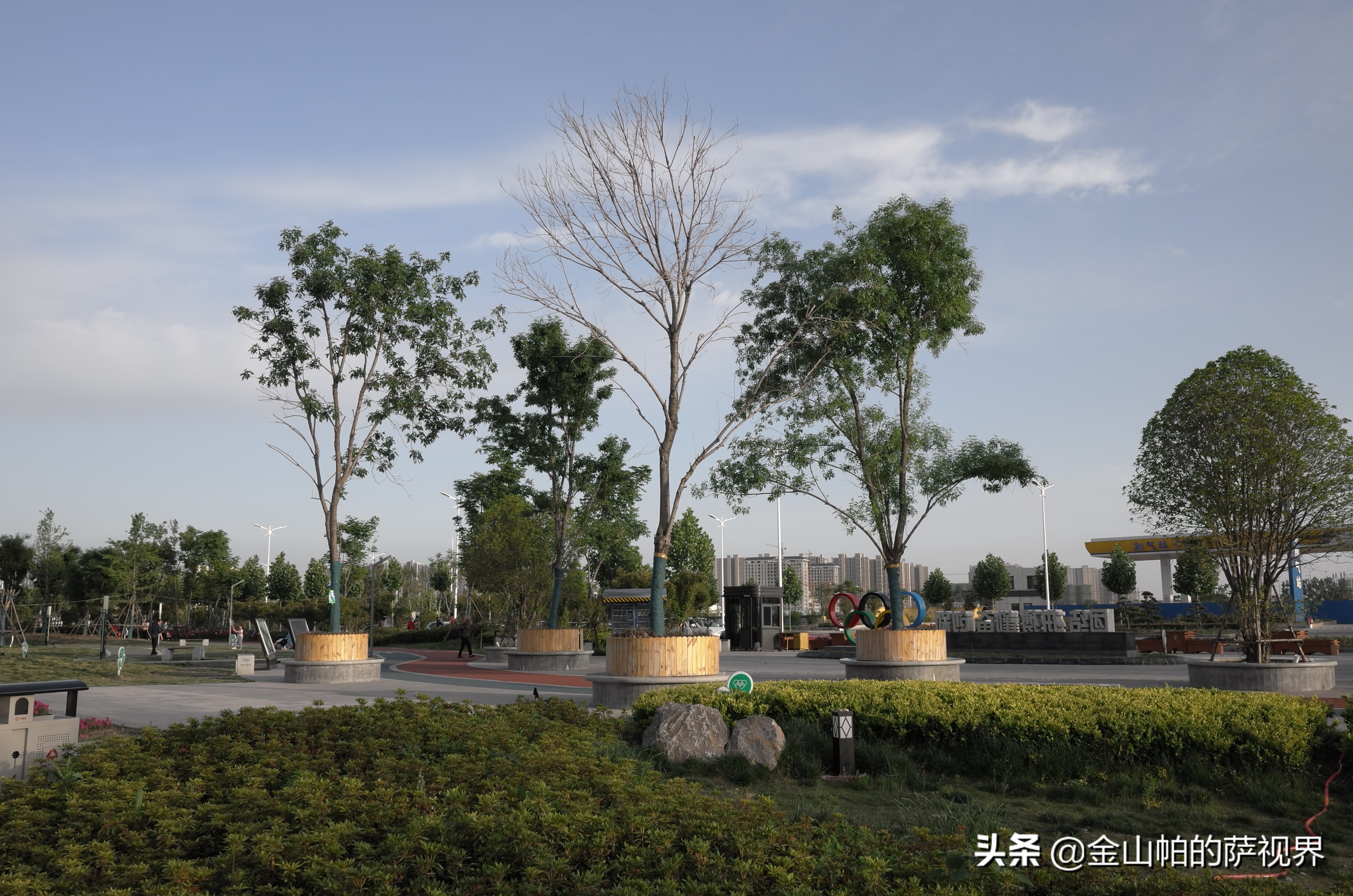 平顶山奥林匹克花园在哪,平顶山奥林匹克地址