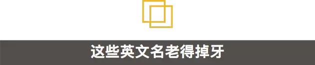 在国外为啥起英文名,中国人起的英文名有多尴尬