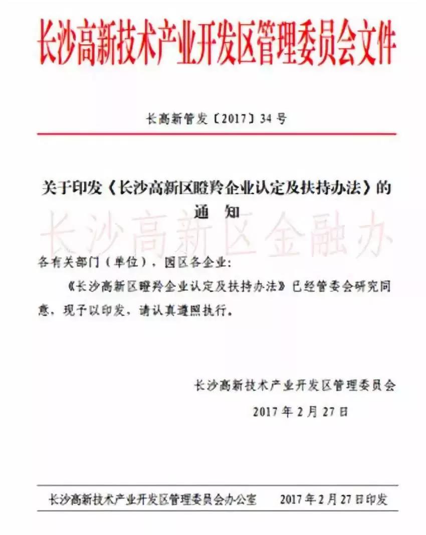 瞪羚企业总数,瞪羚企业数量排行城市