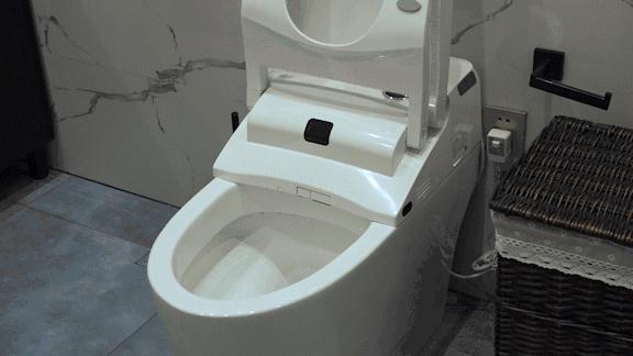 法斯特全自动坐便器智能马桶,法比亚智能马桶