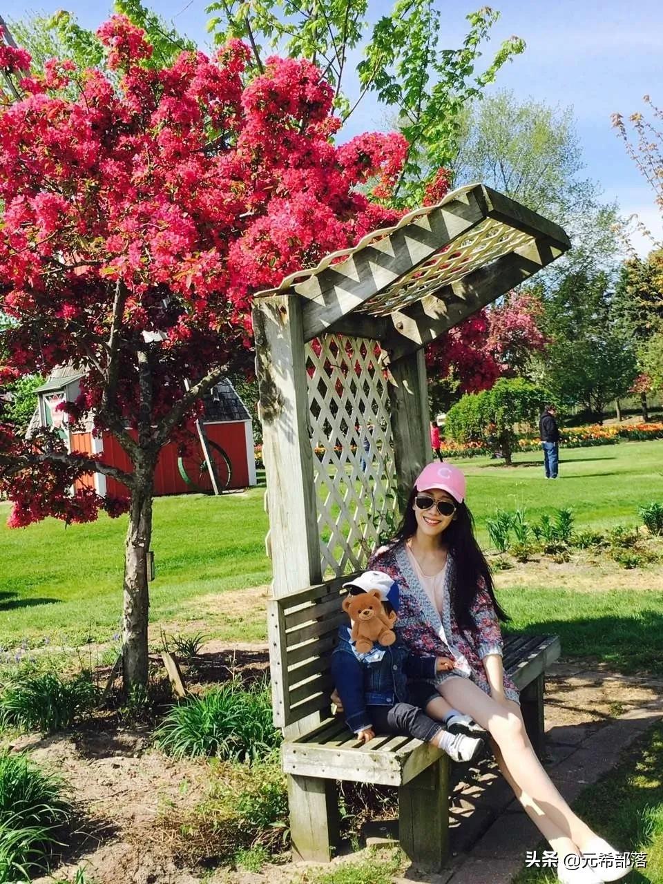 荷兰小镇郁金香盛开,荷兰小镇郁金香花海