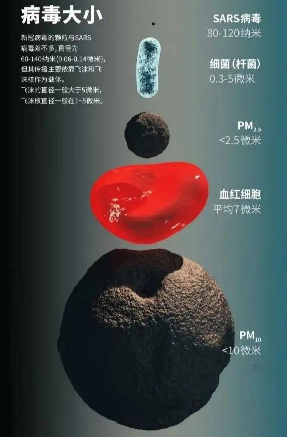 病毒不具有什么所以不能称为生命,为什么说病毒创造了生命