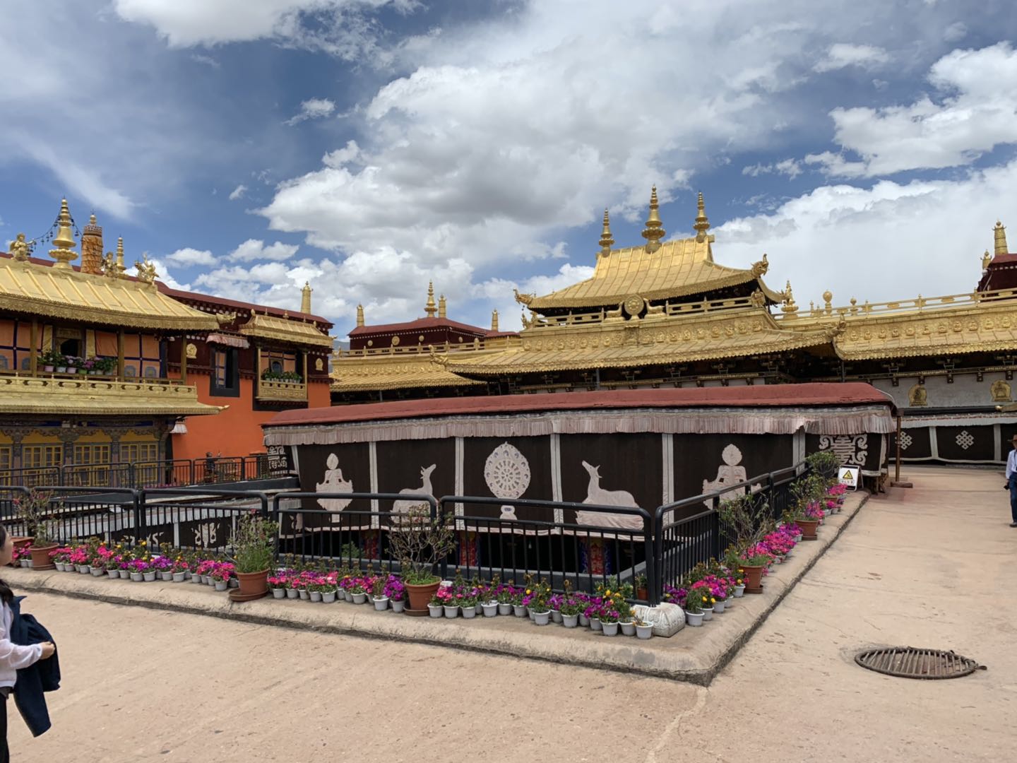 布达拉宫门票预约避坑,布达拉宫门票是一次性放完吗