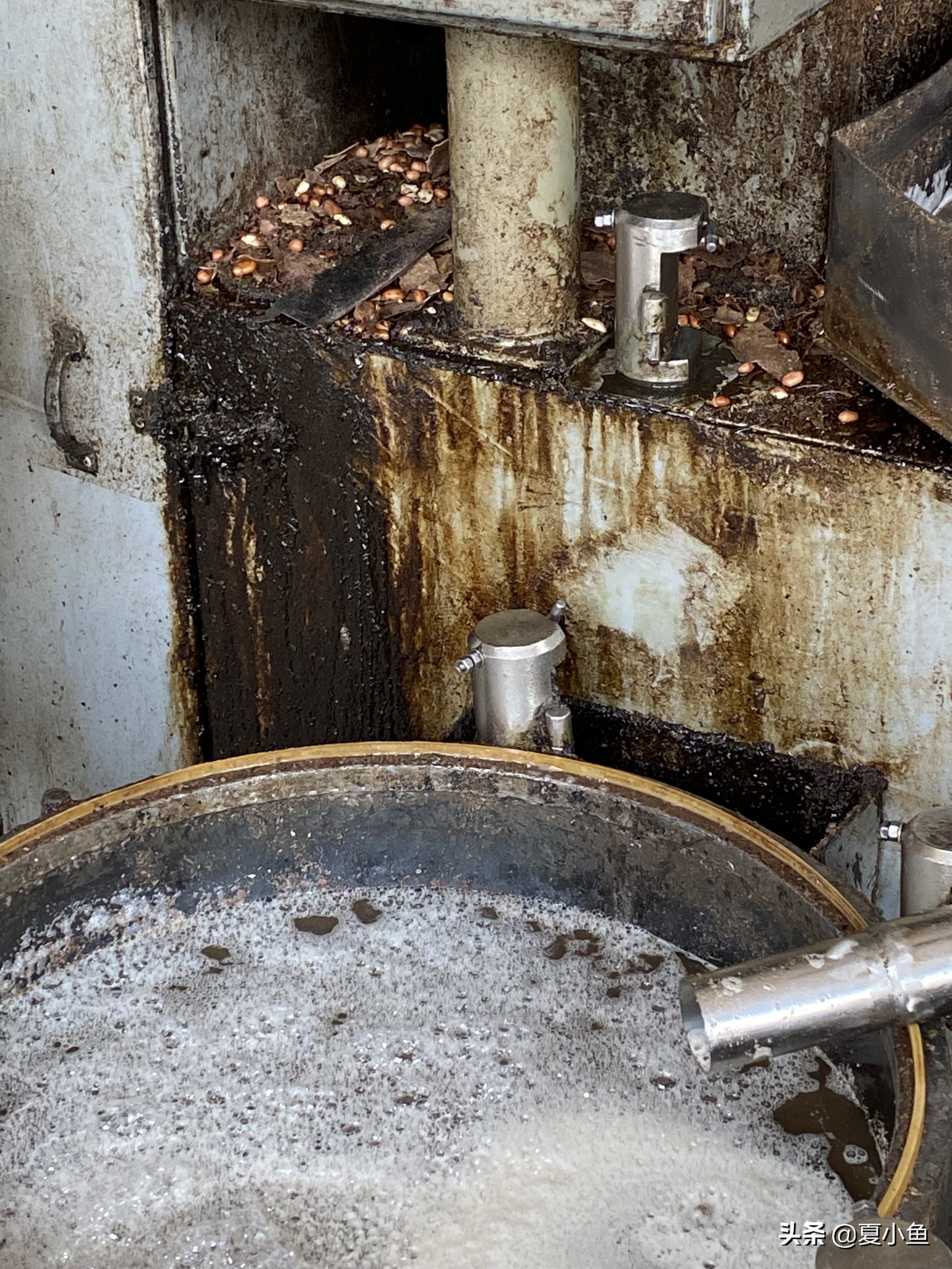 纯正花生油背后的秘密,花生油的猫腻是怎么回事