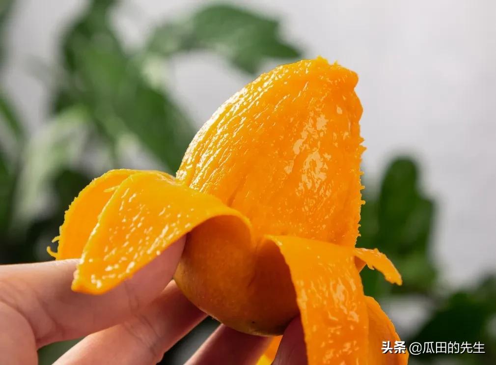 海南小台芒皮薄肉厚甘甜多汁,海南正宗台芒芒果