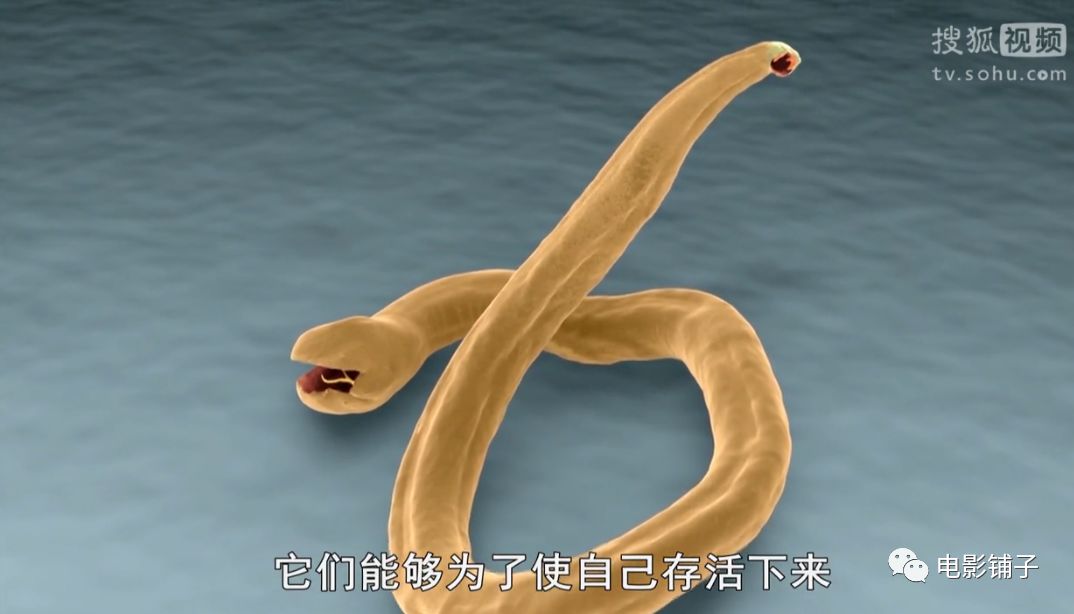 主持人用生命拍片系列，大写的牛掰