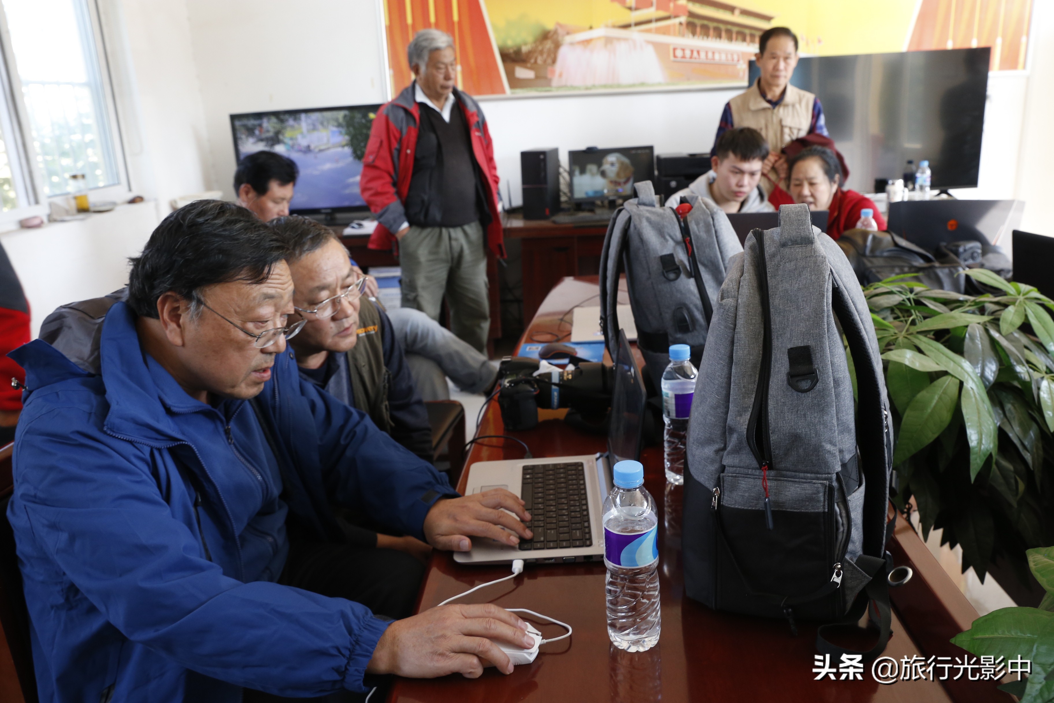 济南顶级摄影大咖,用镜头告诉你盆王菊花有多美