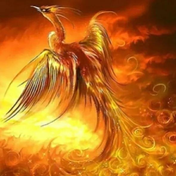 凤凰涅槃到底是什么样的一个情景