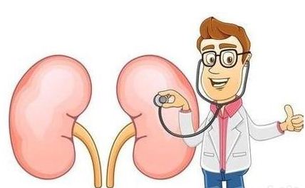 肾功能好不好,肾功能哪个指标最重要