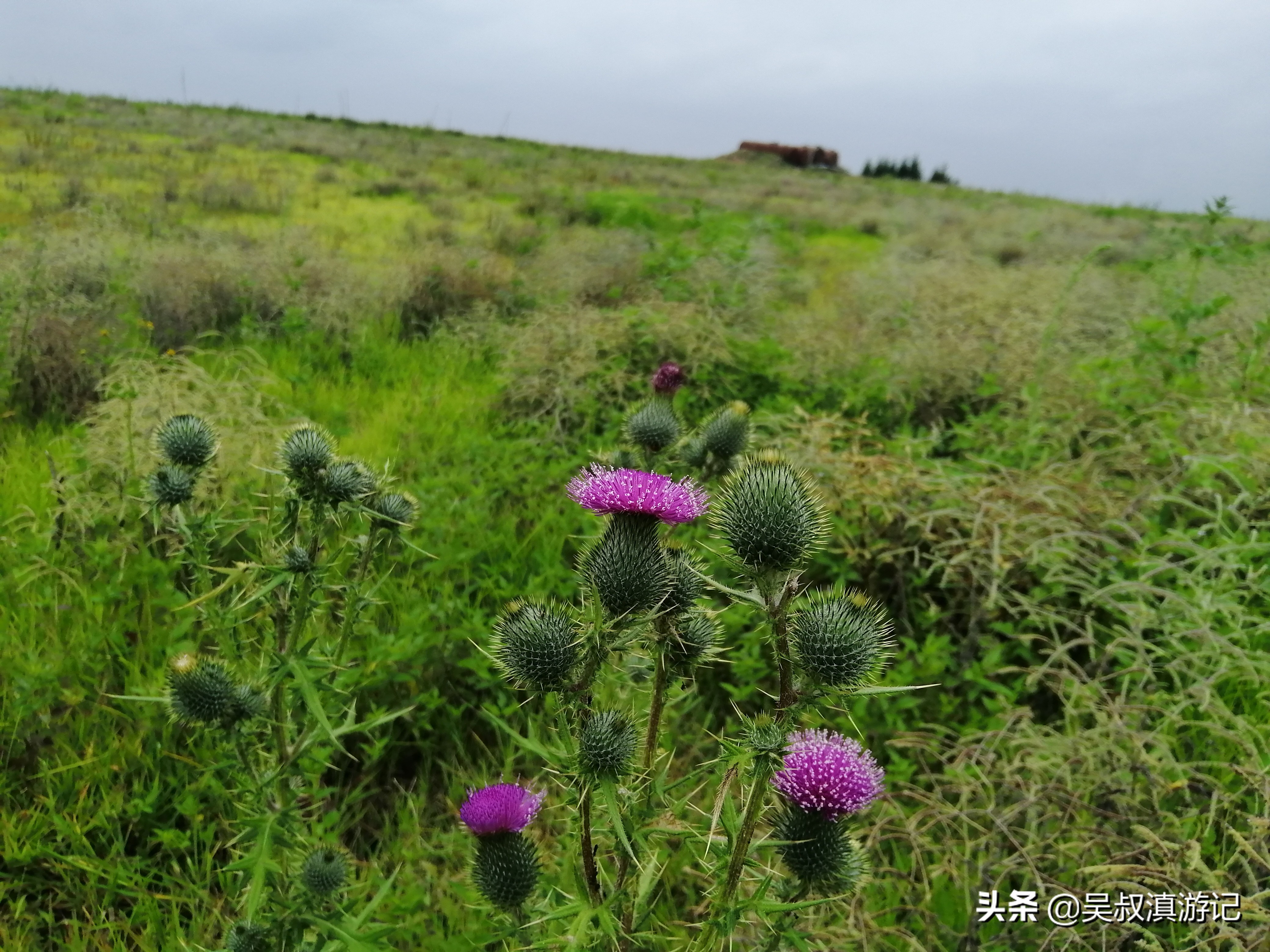 寻找石盆寺没有意外发现，却有别样风景和独特经历，真值了