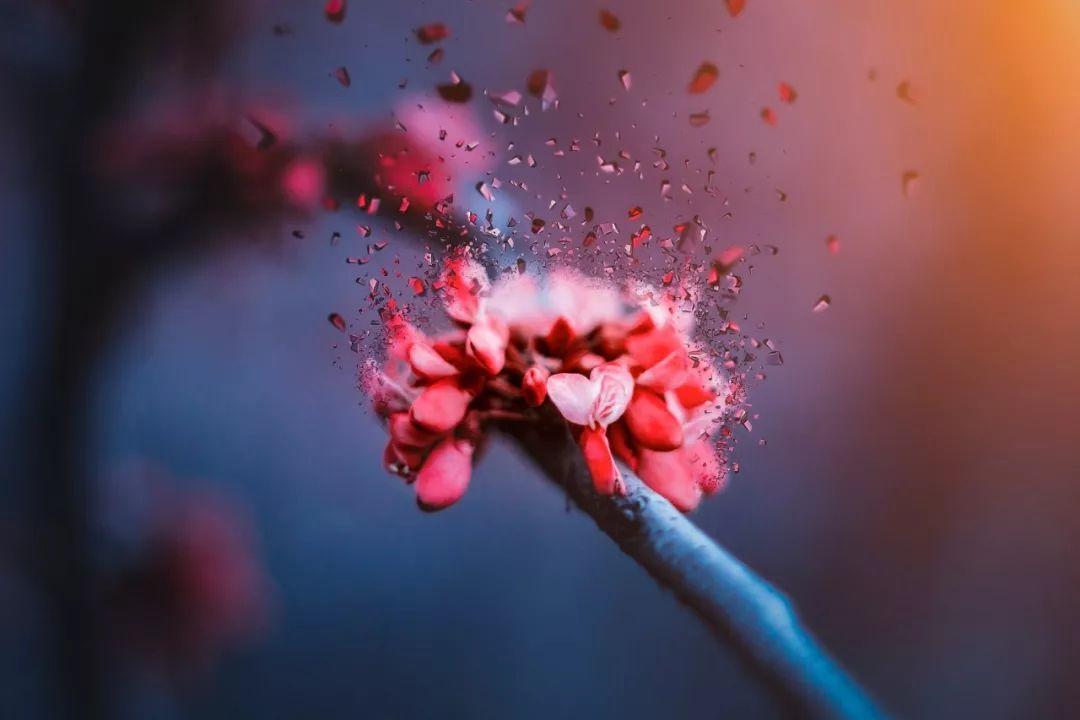 30个易错成语你用对了多少,50个容易读错的成语你读对了吗