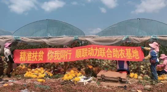 中国电商直播行业大数据分析报告,中国电商直播发展状况统计报告