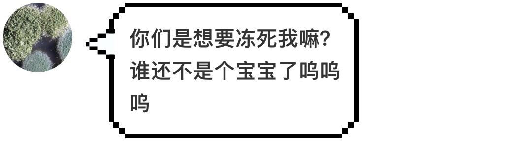 汉堡王又碰瓷麦当劳了，这次用的是发霉的汉堡