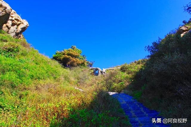 庄河黑岛名人,庄河黑岛沈屯