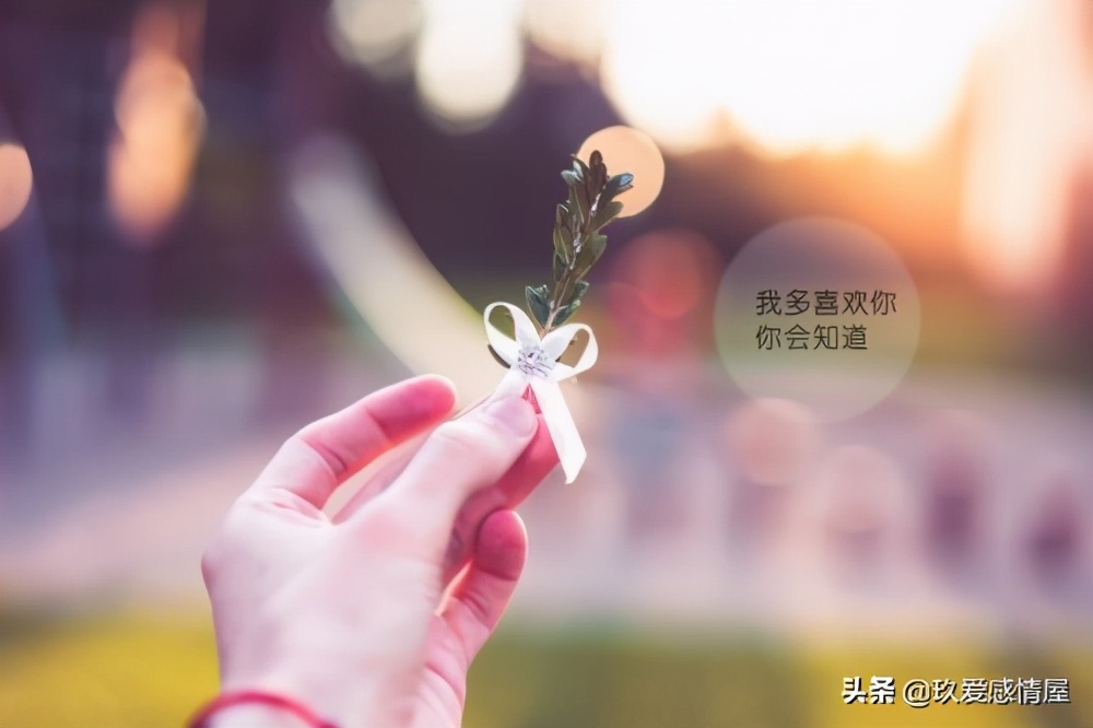 “爱到收不住，才是真的输”先好好爱自己，再去爱值得爱的人