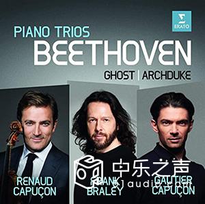 丹拿dynaudio顶级音响,丹拿dynaudio40周年纪念书架音箱