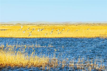 武威发展与生态文明建设,奋力谱写新时代生态文明新篇章
