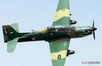 亚马逊巨嘴鸟,巨型巨嘴鸟