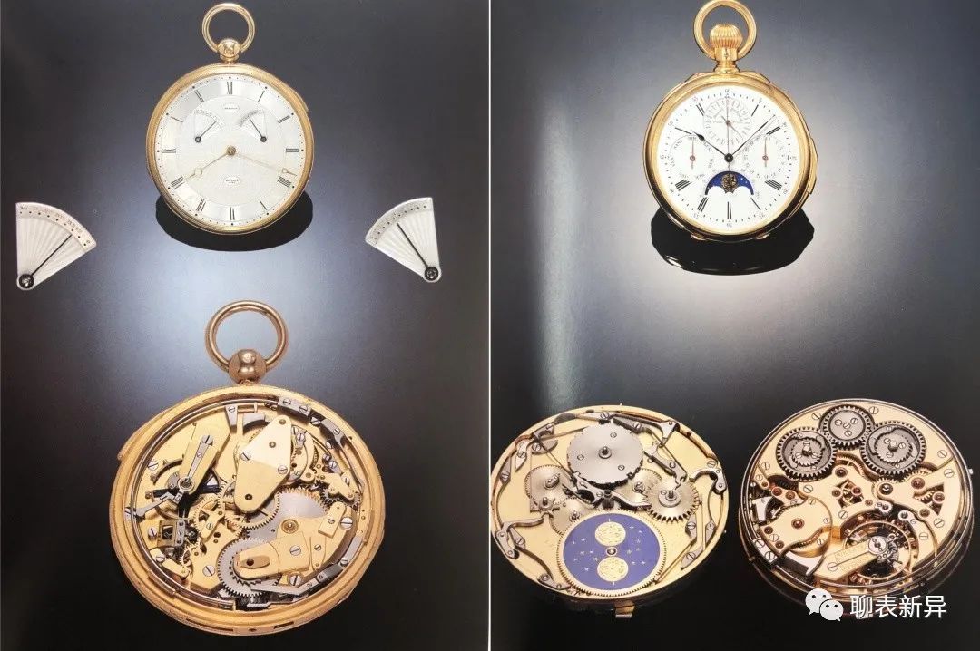 百里鸽,百里乳鸽