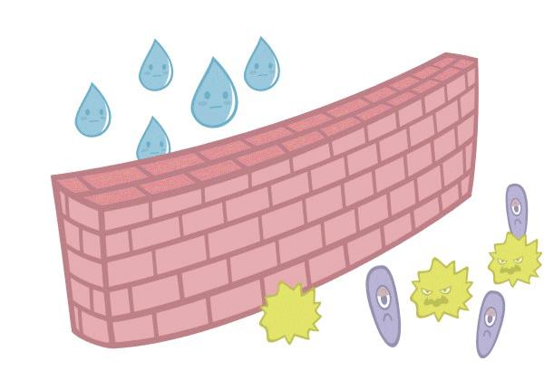 儿童湿疹的科普小知识,儿童湿疹科普视频