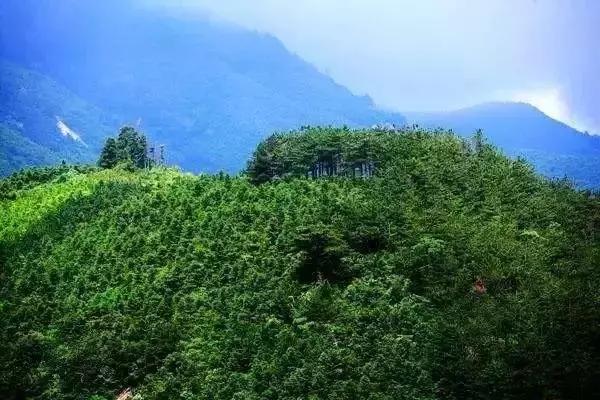 中国文旅每日早报|《火影忍者》主题公园即将落户上海2019.02.15