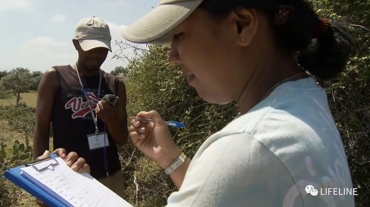 龟中“考拉”，请别让我们的孩子在博物馆见到它们...
