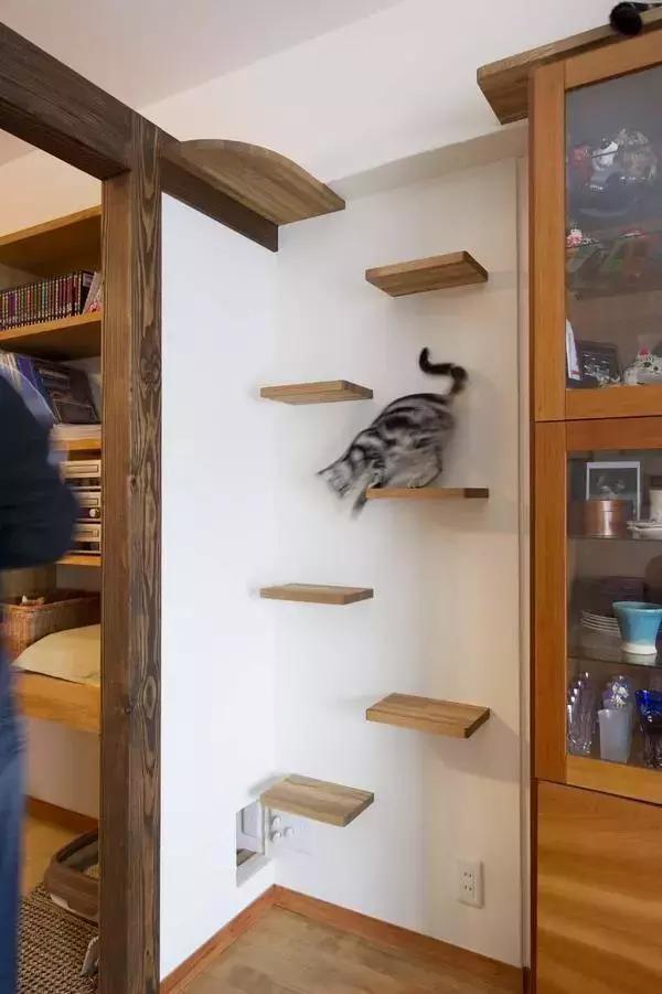 日本人卫生间清洁好物,日本人卫生间清洁