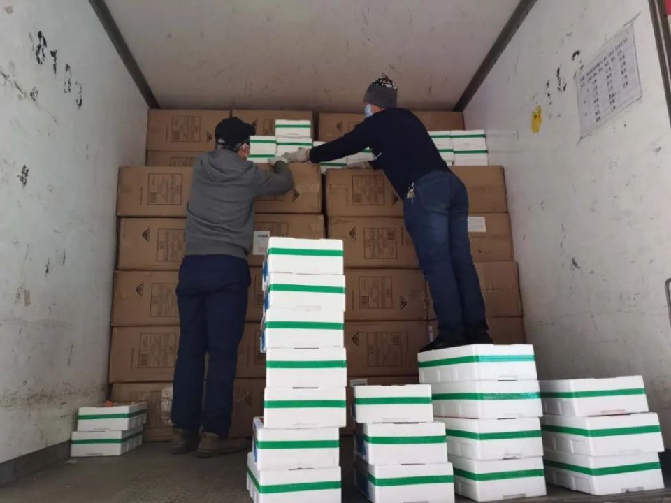 第八车，第100吨，第7500箱，顺利送达雷神山大连医疗队