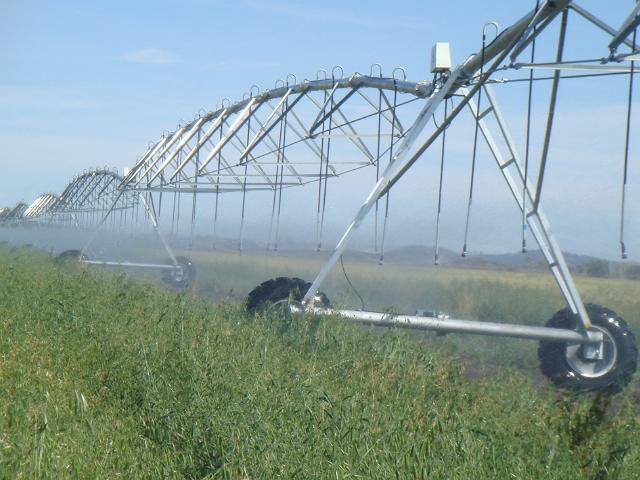 种地的成本和利润,农民种地赚钱亏本