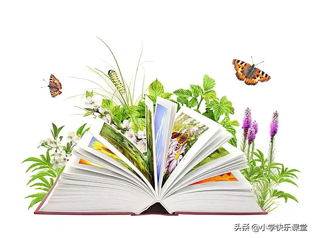 小学作文写作方法与技巧与范文,小学作文写作方法与技巧模板大全